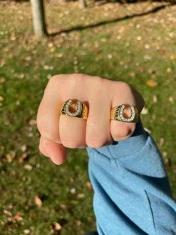 14k Gold Vermeil Lucky Horseshoe Ring Ice MOISSANITE - Pass Diamond Test Sz 6-13 20 14k Gold Vermeil Lucky Horseshoe Ring Ice MOISSANITE - Pass Diamond Test Sz 6-13 -Harlem Bling Shop 14k gold vermeil lucky horseshoe ring ice moissanite pass diamond test sz 6 13 65330.1664359625