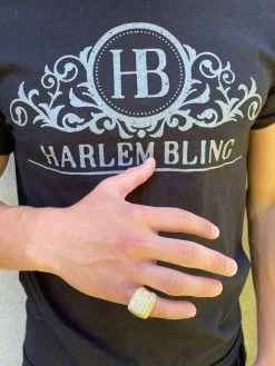 14k Gold Vermeil 925 Silver Men's Hip Hop Iced Moissanite Ring Pass Diamond Test 17 14k Gold Vermeil 925 Silver Men's Hip Hop Iced Moissanite Ring Pass Diamond Test -Harlem Bling Shop harlembling 14k gold vermeil 925 silver mens hip hop iced moissanite ring pass diamond test 96671.1664387249