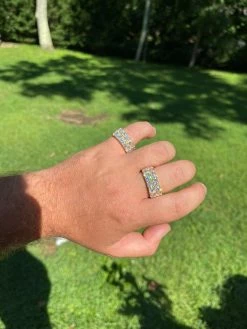 14k Gold Vermeil Hip Hop Iced Tennis 10mm MOISSANITE Ring Passes Diamond Tester 18 14k Gold Vermeil Hip Hop Iced Tennis 10mm MOISSANITE Ring Passes Diamond Tester -Harlem Bling Shop harlembling 14k gold vermeil hip hop iced tennis 10mm moissanite ring passes diamond tester 04343.1664398791