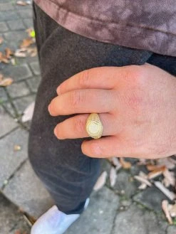 14K Gold Vermeil Iced Hip Hop Pinky Ring REAL MOISSANITE Stone Pass Diamond Test 19 14K Gold Vermeil Iced Hip Hop Pinky Ring REAL MOISSANITE Stone Pass Diamond Test -Harlem Bling Shop harlembling 14k gold vermeil iced hip hop pinky ring real moissanite stone pass diamond test 06896.1664356028