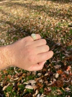 14K Gold Vermeil Iced Hip Hop Pinky Ring REAL MOISSANITE Stone Pass Diamond Test 21 14K Gold Vermeil Iced Hip Hop Pinky Ring REAL MOISSANITE Stone Pass Diamond Test -Harlem Bling Shop harlembling 14k gold vermeil iced hip hop pinky ring real moissanite stone pass diamond test 33985.1664355829