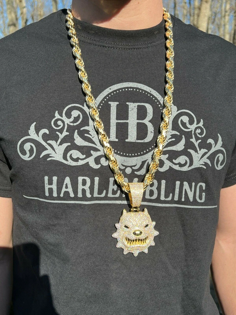 Huge 3.5" Iced Hip Hop 14K Gold Vermeil 925 Angry Pitbull Dog Pendant Necklace 6 Huge 3.5" Iced Hip Hop 14K Gold Vermeil 925 Angry Pitbull Dog Pendant Necklace - Image 4