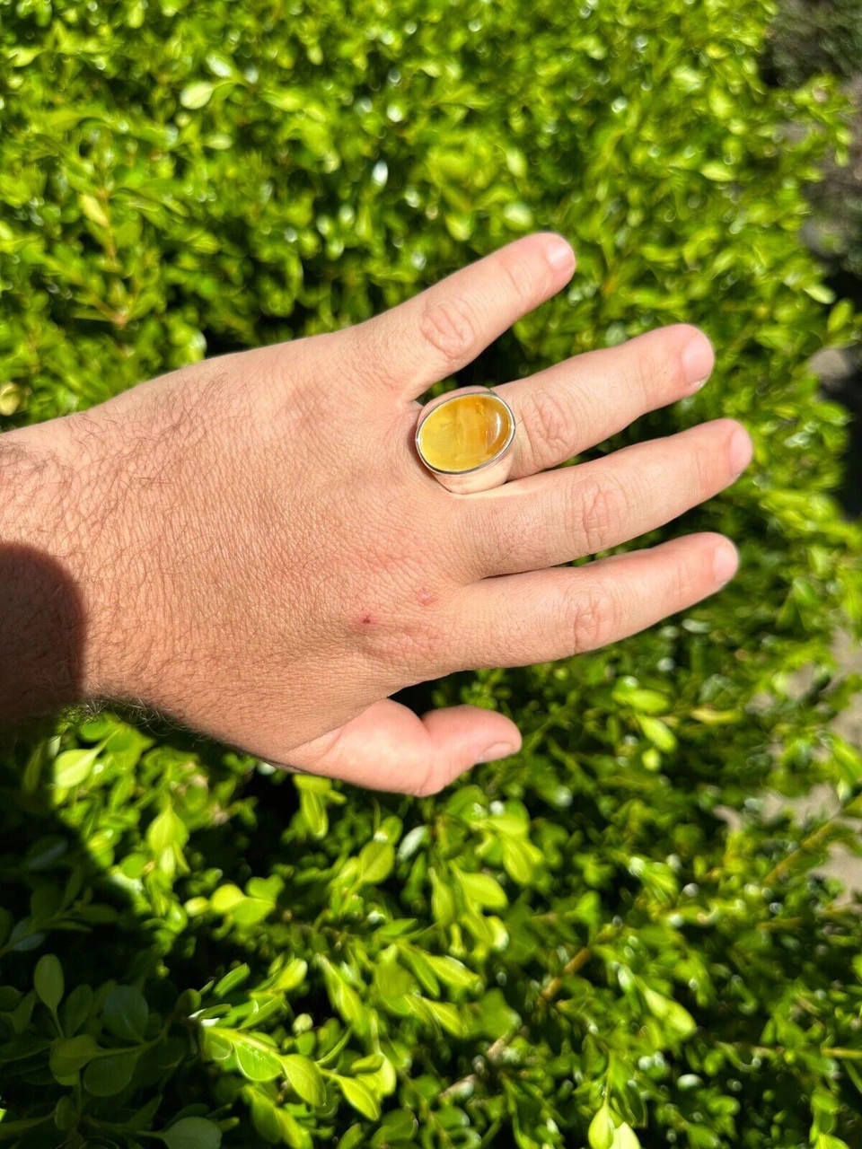 Large Genuine Baltic Amber Stone Mens Real Solid 925 Sterling Silver Signet Ring 17 Large Genuine Baltic Amber Stone Mens Real Solid 925 Sterling Silver Signet Ring - Image 15