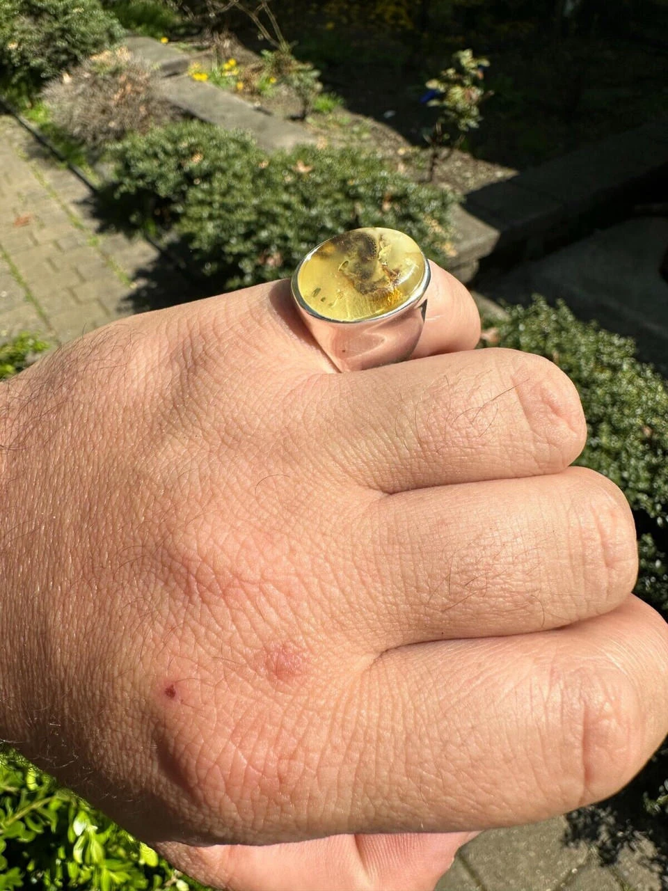 Large Genuine Baltic Amber Stone Mens Real Solid 925 Sterling Silver Signet Ring 22 Large Genuine Baltic Amber Stone Mens Real Solid 925 Sterling Silver Signet Ring - Image 20