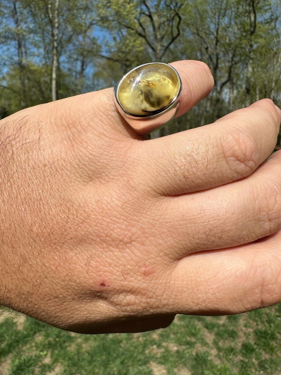 Large Genuine Baltic Amber Stone Mens Real Solid 925 Sterling Silver Signet Ring 6 Large Genuine Baltic Amber Stone Mens Real Solid 925 Sterling Silver Signet Ring - Image 4