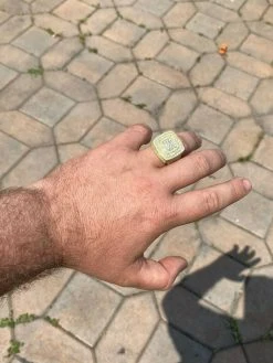 Large Iced 14k Gold Over Real Solid 925 Sterling Silver Men Diamond Ring Hip Hop 22 Large Iced 14k Gold Over Real Solid 925 Sterling Silver Men Diamond Ring Hip Hop -Harlem Bling Shop harlembling large iced 14k gold over real solid 925 sterling silver men diamond ring hip hop 70173.1664372706