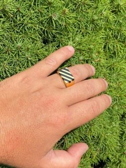 Men's 14k Gold Over Solid 925 Silver Black Onyx Ring Pinky Anillo Para Hombre -Harlem Bling Shop harlembling mens 14k gold over solid 925 silver black onyx ring pinky anillo para hombre 33025.1664384843