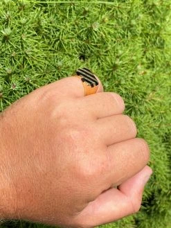 Men's 14k Gold Over Solid 925 Silver Black Onyx Ring Pinky Anillo Para Hombre -Harlem Bling Shop harlembling mens 14k gold over solid 925 silver black onyx ring pinky anillo para hombre 92676.1664371258
