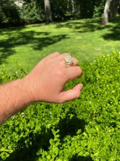 Men's 14k Gold Over Solid 925 Silver King Crown Diamond Pinky RING Iced Hip Hop 22 Men's 14k Gold Over Solid 925 Silver King Crown Diamond Pinky RING Iced Hip Hop -Harlem Bling Shop harlembling mens 14k gold over solid 925 silver king crown diamond pinky ring iced hip hop 89432.1664383353