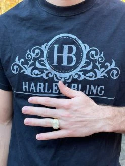 Mens MOISSANITE Ring Real 14k Gold Vermeil 925 Hip Hop Iced Pass Diamond Tester -Harlem Bling Shop harlembling mens moissanite ring real 14k gold vermeil 925 hip hop iced pass diamond tester 19136.1664360826