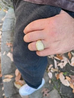 Mens MOISSANITE Ring Real 14k Gold Vermeil 925 Hip Hop Iced Pass Diamond Tester -Harlem Bling Shop harlembling mens moissanite ring real 14k gold vermeil 925 hip hop iced pass diamond tester 50038.1664363061