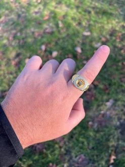 Mens Real 14k Gold Vermeil Over 925 Silver Iced Out Rolex Crown Watch Ring -Harlem Bling Shop harlembling mens real 14k gold vermeil over 925 silver iced out rolex crown watch ring 59445.1672764947