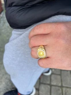 Mens Real 14k Gold Vermeil Over 925 Silver Iced Out Rolex Crown Watch Ring -Harlem Bling Shop harlembling mens real 14k gold vermeil over 925 silver iced out rolex crown watch ring 76901.1672764941