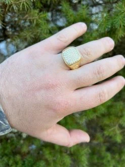 Mens Solid 14k Yellow Gold Vermeil 925 Sterling Silver Iced Diamond Ring Hip Hop 17 Mens Solid 14k Yellow Gold Vermeil 925 Sterling Silver Iced Diamond Ring Hip Hop -Harlem Bling Shop harlembling mens solid 14k yellow gold vermeil 925 sterling silver iced diamond ring hip hop 35860.1664356019