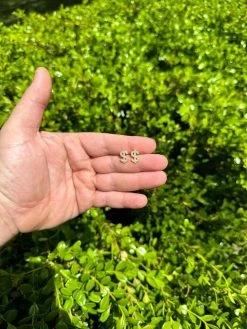 MOISSANITE 925 Silver 14k Gold Plated Men Ladies Dollar Sign $ Money Earrings 25 MOISSANITE 925 Silver 14k Gold Plated Men Ladies Dollar Sign $ Money Earrings -Harlem Bling Shop harlembling moissanite 925 silver 14k gold plated men ladies dollar sign dollar money earrings 96147.1683752092