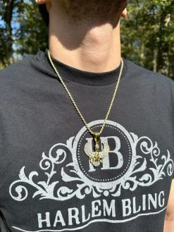 MOISSANITE Horus W. Ankh Pendant Real 925 Silver / Gold Iced Egyptian Necklace -Harlem Bling Shop harlembling moissanite horus w ankh pendant real 925 silver gold iced egyptian necklace 16850.1696386242