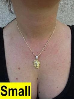 MOISSANITE Medusa Head Pendant - Iced Necklace Real 14k Gold Vermeil 925 Silver 41 MOISSANITE Medusa Head Pendant - Iced Necklace Real 14k Gold Vermeil 925 Silver -Harlem Bling Shop harlembling moissanite medusa head pendant iced necklace real 14k gold vermeil 925 silver 97070.1698377315