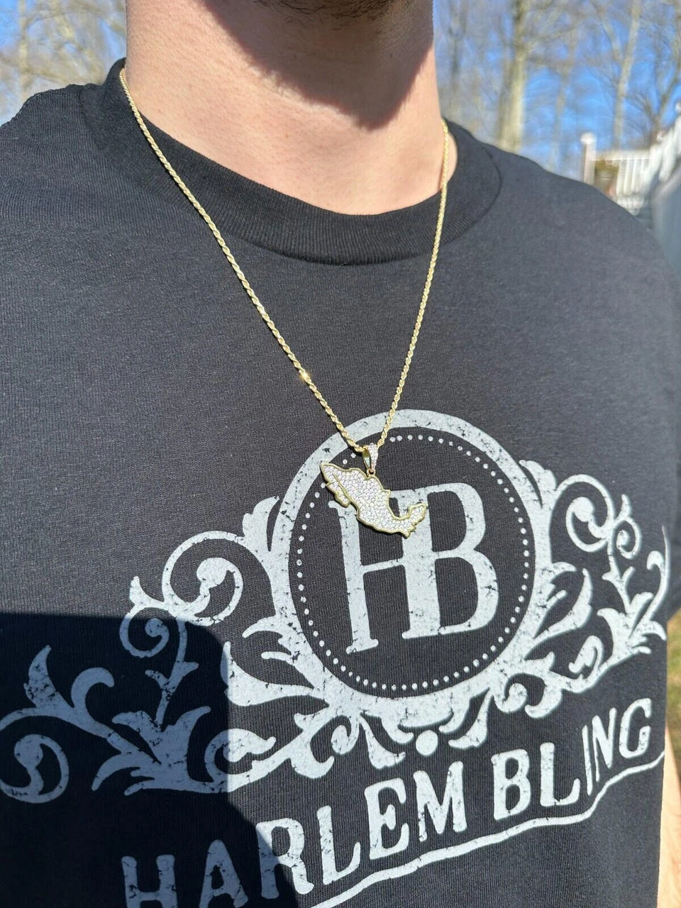 MOISSANITE Real 925 Silver / Gold Mexico Map Shape Flag Necklace Pendant Iced 7 MOISSANITE Real 925 Silver / Gold Mexico Map Shape Flag Necklace Pendant Iced - Image 5