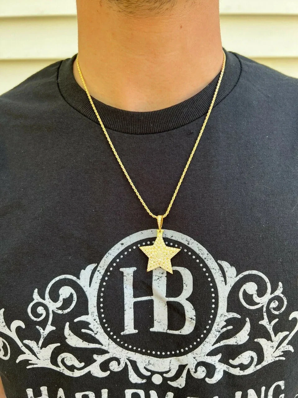 Moissanite Real Silver Gold Hip Hop Star Pendant Iced Necklace Pass Diamond Test 9 Moissanite Real Silver Gold Hip Hop Star Pendant Iced Necklace Pass Diamond Test - Image 7