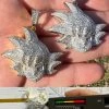 MOISSANITE Real Silver / Gold Iced Goku Saiyan Dragon Ball Z Pendant Necklace 2 MOISSANITE Real Silver / Gold Iced Goku Saiyan Dragon Ball Z Pendant Necklace -Harlem Bling Shop harlembling moissanite real silver gold iced goku saiyan dragon ball z pendant necklace 61161.1674149331