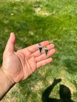 MOISSANITE Shark Tooth Iced Pendant 925 Silver / Gold Plated Hip Hop Necklace 30 MOISSANITE Shark Tooth Iced Pendant 925 Silver / Gold Plated Hip Hop Necklace -Harlem Bling Shop harlembling moissanite shark tooth iced pendant 925 silver gold plated hip hop necklace 24758.1685655523