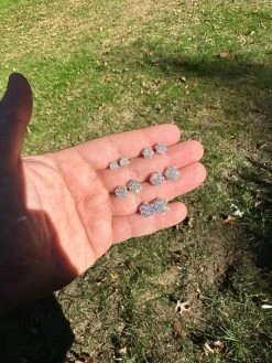 Moissanite Studs Iced Cluster Flower Set Earrings Real 14k Gold Over 925 Silver 30 Moissanite Studs Iced Cluster Flower Set Earrings Real 14k Gold Over 925 Silver -Harlem Bling Shop harlembling moissanite studs iced cluster flower set earrings real 14k gold over 925 silver 32901.1697510727