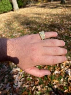 Real 14k Gold Vermeil Mens Hip Hop Iced MOISSANITE Ring - Passes Diamond Tester 21 Real 14k Gold Vermeil Mens Hip Hop Iced MOISSANITE Ring - Passes Diamond Tester -Harlem Bling Shop harlembling real 14k gold vermeil mens hip hop iced moissanite ring passes diamond tester 45448.1664358743