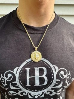 Real 925 Silver / 14k Gold Plated Lion King Of Jungle Medallion Pendant Necklace -Harlem Bling Shop harlembling real 925 silver 14k gold plated lion king of jungle medallion pendant necklace 02046.1684271430