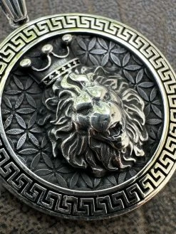 Real 925 Silver / 14k Gold Plated Lion King Of Jungle Medallion Pendant Necklace -Harlem Bling Shop harlembling real 925 silver 14k gold plated lion king of jungle medallion pendant necklace 22767.1684271439
