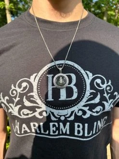 Real 925 Silver / 14k Gold Plated Lion King Of Jungle Medallion Pendant Necklace -Harlem Bling Shop harlembling real 925 silver 14k gold plated lion king of jungle medallion pendant necklace 32491.1684271175