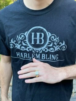 Real Men's Hip Hop Out Iced Moissanite Ring 14k Gold Vermeil Passes Diamond Test -Harlem Bling Shop harlembling real mens hip hop out iced moissanite ring 14k gold vermeil passes diamond test 93645.1664361567