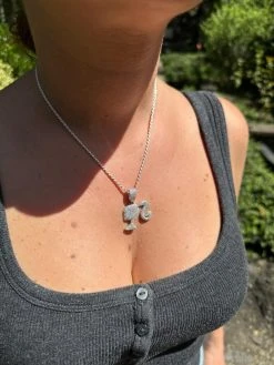 Real MOISSANITE 925 Silver Barbie Doll Pendant Necklace 14k Gold Plated Iced 37 Real MOISSANITE 925 Silver Barbie Doll Pendant Necklace 14k Gold Plated Iced -Harlem Bling Shop harlembling real moissanite 925 silver barbie doll pendant necklace 14k gold plated iced 84067.1692406056