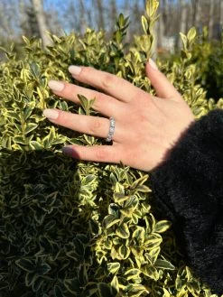 Real Moissanite Eternity Band Wedding Ring Pass Diamond Tester 925 Silver 2-5mm -Harlem Bling Shop harlembling real moissanite eternity band wedding ring pass diamond tester 925 silver 2 5mm 84921.1676398853