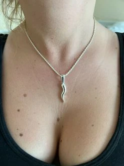 Real Solid 925 Silver / Gold Italian Cornicello Horn Pepper Pendant Necklace 14 Real Solid 925 Silver / Gold Italian Cornicello Horn Pepper Pendant Necklace -Harlem Bling Shop harlembling real solid 925 silver gold italian cornicello horn pepper pendant necklace 96046.1664362268