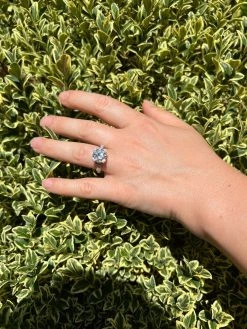 Real VVS D Color Moissanite Engagement Promise Ring 925 Silver 1.2-4.2ct Sz 4-10 25 Real VVS D Color Moissanite Engagement Promise Ring 925 Silver 1.2-4.2ct Sz 4-10 -Harlem Bling Shop harlembling real vvs d color moissanite engagement promise ring 925 silver 1.2 4.2ct sz 4 10 48775.1664300274