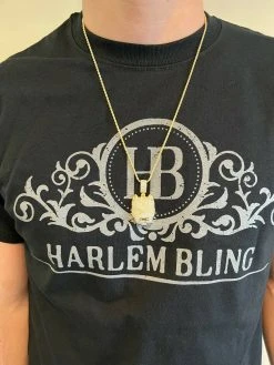 Solid 925 Silver Pitbull Dog Pendant Necklace Iced Diamond Gold Necklace Hip Hop 16 Solid 925 Silver Pitbull Dog Pendant Necklace Iced Diamond Gold Necklace Hip Hop -Harlem Bling Shop harlembling solid 925 silver pitbull dog pendant necklace iced diamond gold necklace hip hop 98573.1664361076