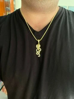 Solid 925 Sterling Silver Snake King Cobra Pendant Necklace Iced Gold Hip Hop 21 Solid 925 Sterling Silver Snake King Cobra Pendant Necklace Iced Gold Hip Hop -Harlem Bling Shop harlembling solid 925 sterling silver snake king cobra pendant necklace iced gold hip hop 54054.1664392813