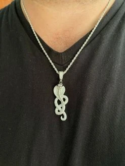 Solid 925 Sterling Silver Snake King Cobra Pendant Necklace Iced Gold Hip Hop 20 Solid 925 Sterling Silver Snake King Cobra Pendant Necklace Iced Gold Hip Hop -Harlem Bling Shop harlembling solid 925 sterling silver snake king cobra pendant necklace iced gold hip hop 91056.1664391530