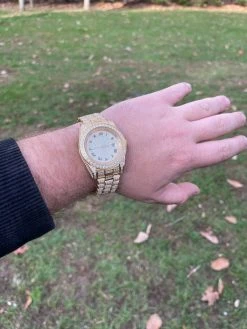 15ct MOISSANITE Gold Mens Presidential Watch Iced Hip Hop Out Pass Diamond Test -Harlem Bling Shop hip hop 15ct moissanite gold mens presidential watch iced hip hop out pass diamond test 79770.1664362646