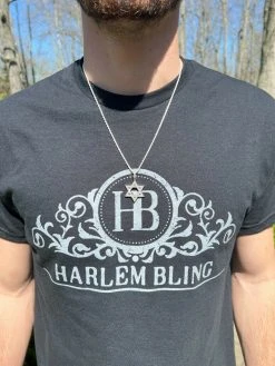 Moissanite Star Of David Pendant Iced Pass Diamond Tester Necklace Silver Gold 17 Moissanite Star Of David Pendant Iced Pass Diamond Tester Necklace Silver Gold -Harlem Bling Shop hip hop moissanite star of david pendant iced pass diamond tester necklace silver gold 58263.1664360644