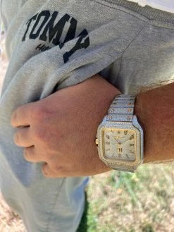 Real 16ct VVS MOISSANITE Watch Iced Automatic Movement Hip Hop Two Tone Gold 20 Real 16ct VVS MOISSANITE Watch Iced Automatic Movement Hip Hop Two Tone Gold -Harlem Bling Shop hip hop real 16ct vvs moissanite watch iced automatic movement hip hop two tone gold 14750.1664299772