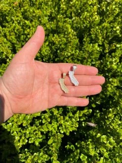 Real 925 Silver HipHop California State Shape Pendant Iced Diamond Necklace Gold 23 Real 925 Silver HipHop California State Shape Pendant Iced Diamond Necklace Gold -Harlem Bling Shop hip hop real 925 silver hiphop california state shape pendant iced diamond necklace gold 75813.1664360510