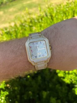 Real MOISSANITE Gold Watch Iced Automatic Arabic #s Hip Hop Pass Diamond Tester 17 Real MOISSANITE Gold Watch Iced Automatic Arabic #s Hip Hop Pass Diamond Tester -Harlem Bling Shop hip hop real moissanite gold watch iced automatic arabic s hip hop pass diamond tester 50484.1664301469