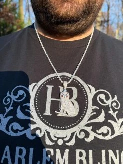 Iced MOISSANITE 925 Silver Gold Plated Hip Hop Owl Pendant Rapper OVO Necklace 25 Iced MOISSANITE 925 Silver Gold Plated Hip Hop Owl Pendant Rapper OVO Necklace -Harlem Bling Shop iced moissanite 925 silver gold plated hip hop owl pendant rapper ovo necklace 59669.1702443332