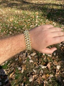 10ct MOISSANITE Big 20mm Mens Real Iced Presidential Bracelet - 14k Gold Vermeil 17 10ct MOISSANITE Big 20mm Mens Real Iced Presidential Bracelet - 14k Gold Vermeil -Harlem Bling Shop italiano silver inc 10ct moissanite big 20mm mens real iced presidential bracelet 14k gold vermeil 09261.1664398931