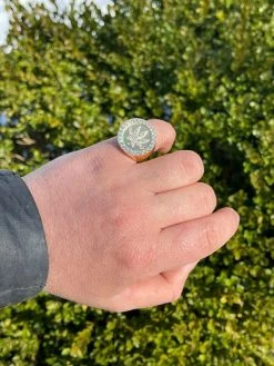 14k Gold & Solid 925 Sterling Silver Iced Weed Marijuana Leaf Ring Flooded Out 17 14k Gold & Solid 925 Sterling Silver Iced Weed Marijuana Leaf Ring Flooded Out -Harlem Bling Shop italiano silver inc 14k gold and solid 925 sterling silver iced weed marijuana leaf ring flooded out 60308.1664390076