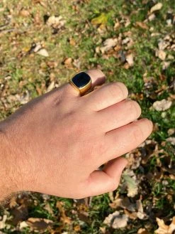 14k Gold Over Real Solid 925 Sterling Silver Black Onyx Stone Mens Signet Ring -Harlem Bling Shop italiano silver inc 14k gold over real solid 925 sterling silver black onyx stone mens signet ring 30138.1664380217
