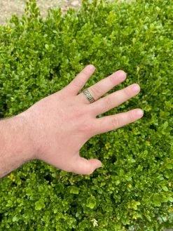 Mens Plain Ring Real 14k Gold Over Solid 925 Silver Pinky Wedding Band Greek Key -Harlem Bling Shop italiano silver inc mens plain ring real 14k gold over solid 925 silver pinky wedding band greek key 30055.1664389411