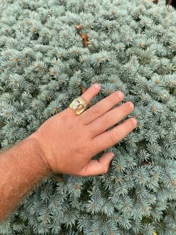 Mens Real 14k Yellow Gold Over Solid 925 Silver Jesus Face Ring Pinky Hip Hop 18 Mens Real 14k Yellow Gold Over Solid 925 Silver Jesus Face Ring Pinky Hip Hop -Harlem Bling Shop italiano silver inc mens real 14k yellow gold over solid 925 silver jesus face ring pinky hip hop 07746.1664394649