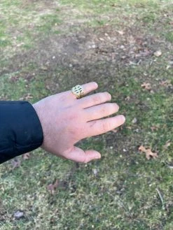 Real Solid 925 Sterling Silver & 14k Gold Mens Hip Hop Nugget Dollar Sign $ Ring 21 Real Solid 925 Sterling Silver & 14k Gold Mens Hip Hop Nugget Dollar Sign $ Ring -Harlem Bling Shop italiano silver inc real solid 925 sterling silver and 14k gold mens hip hop nugget dollar sign dollar ring 45133.1664391131